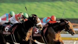 【東京スポーツ杯2歳S】ガストリックがデビュー2連勝！ハーツコンチェルトは痛恨の出遅れ