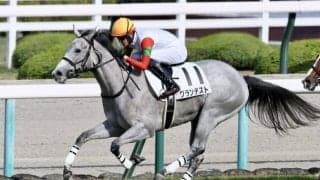 【新馬/阪神5R】ロードカナロア産駒 グランテストがデビューV