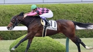 【新馬/阪神6R】武豊 スマートフォルスが逃げ切りV