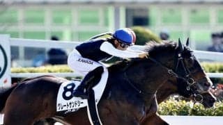 【新馬/東京4R】米国産グレートサンドシーが人気に応える