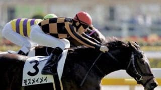 【新馬/東京5R】ルメール騎乗 モズメイメイが人気に応える