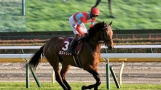 【東京スポーツ杯2歳S】三浦「良い背中」ガストリックが重賞初制覇