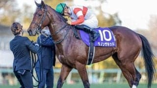 【マイルCS予想】前走内容に復活の兆し 昨年の3着馬が久々のビッグタイトル掴むか