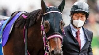 昨年のJGIで絶対王者を撃破 2020年の最優秀障害馬がターフを去る