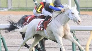 【マイルCS・馬体重】ソダシは480kg(+2)、シュネルマイスターは494kg(+4)