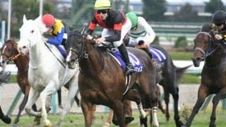 【マイルCS】セリフォスが大外一気決め新マイル王！父ダイワメジャーと親子制覇