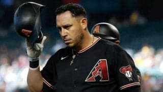 強烈パンチで吹っ飛び大乱闘　メジャー195発男は「何という負け犬」「恥ずべき行為」