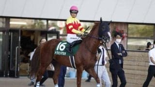 【京阪杯】トウシンマカオ、テイエムスパーダなどが登録