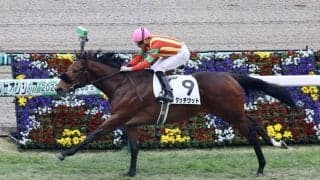 【新馬/阪神4R】ムーア騎乗 タッチウッドが6馬身差圧勝