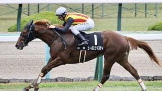 【秋明菊賞】C.デムーロ騎乗 コーパスクリスティがデビュー2連勝