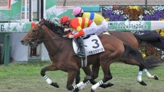 【新馬/阪神5R】レーン騎乗 ベラジオオペラがデビューV