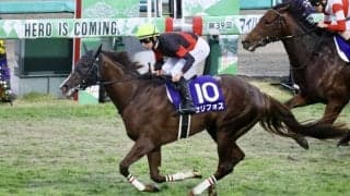 WIN5は64万円超の配当 マイルCSはセリフォスがV