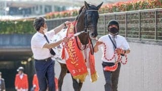 東京開催のラストを飾るジャパンC、スプリントGIII京阪杯など/今週の競馬界の見どころ