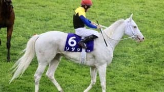 【マイルCS】吉田隼「最後まで踏ん張ってくれた」レース後ジョッキーコメント