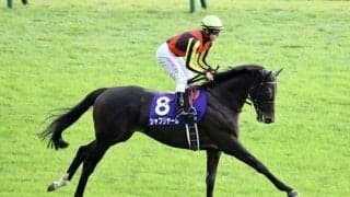 【ジャパンC登録馬】外国馬4頭が参戦予定