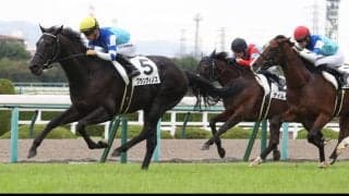 【京都2歳S登録馬】グランヴィノスなど16頭がエントリー
