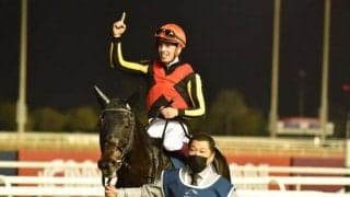 【ジャパンC見どころ】シャフリヤールが天皇賞5着から巻き返しを狙う