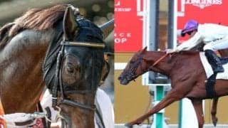 【ジャパンカップ】登録馬のレーティング一覧 オネストが121、シャフリヤールが120
