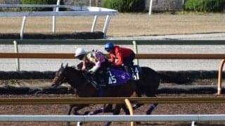 ヴァレーデラルナの半妹ハーパーが福永祐一騎手でデビュー/関西馬メイクデビュー情報