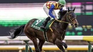 【AI予想・ジャパンC】スタミナ勝負で一発あり!? 混戦で浮上する穴馬候補
