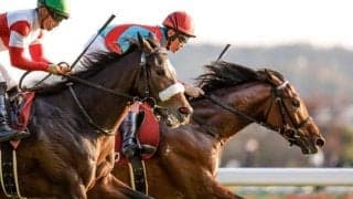 産駒が3年連続で馬券圏内に食い込むジャスタウェイ産駒のレース適性の高さ