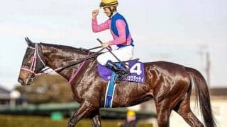 2020年のJRA最優秀障害馬、今年米G1に挑戦した5歳牝馬、クリソベリルの半弟らがJRA登録を抹消
