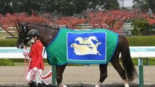 セリフォスが父ダイワメジャーとマイルCS親仔制覇 成長力のカギは？