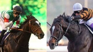 キタサンブラックの種付料は2倍に エピファネイアが最高額 社台SSが2023年度の種付料を発表