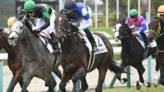 【京都2歳S展望】新馬戦で強い走りを見せたあの馬に期待したい