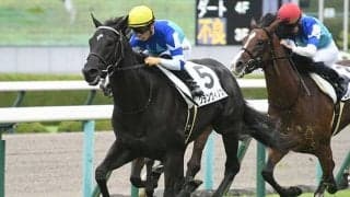 【京都2歳S想定騎手】グランヴィノスは川田将雅騎手、エゾダイモンは武豊騎手