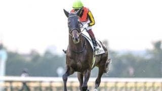 【ジャパンC予想オッズ】シャフリヤールが予想1番人気