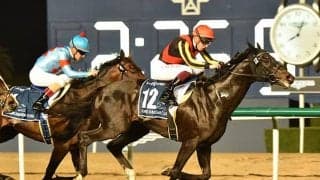 【ジャパンC想定騎手】シャフリヤールはC.デムーロ騎手、ダノンベルーガは川田将雅騎手