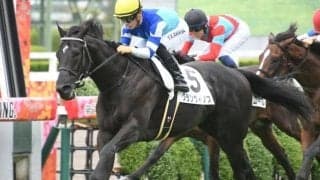 【京都2歳S予想オッズ】グランヴィノスが予想1番人気