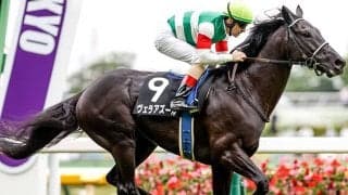 芝転向後複勝率100%  5歳で覚醒した京都大賞典覇者がジャパンCに出走