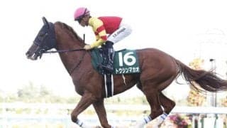 【京阪杯予想オッズ】3歳馬トウシンマカオが予想1番人気