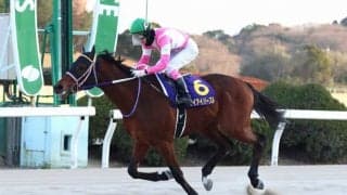 【浦和記念】ケイアイパープルは4枠4番へ