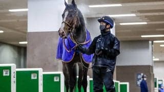 天皇賞・秋はイクイノックスに0.2秒差 1億7280万円馬がジャパンCで悲願のGI制覇へ