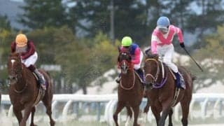 中央・地方ともに実力拮抗の好メンバー集結/浦和記念注目馬