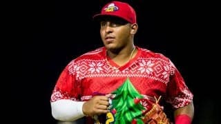 今季マイナー32発、セデーニョがNPB球団と合意　球団公式ツイッター伝える