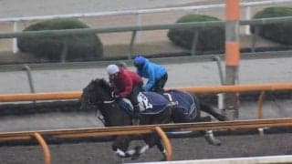 サンライズホープ、チャンピオンズC1週前追い切り速報/栗東トレセンニュース