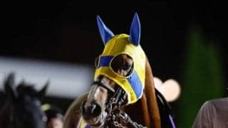 重賞3勝＆GIで2着3回 芝ダ問わず活躍した9歳の古豪がターフを去る