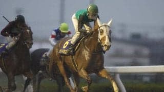 【浦和記念結果】武豊騎手騎乗のクリノドラゴンが鮮やかに差し切り重賞初V