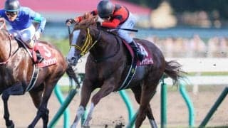 香港カップのジャックドールなど日本から14頭！香港国際競走への招待を受託