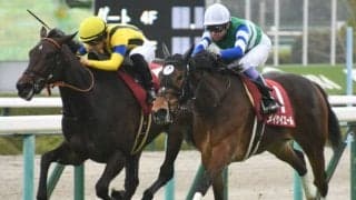 エリザベスタワーが競走馬登録を抹消 昨年のチューリップ賞でメイケイエールと同着制覇