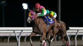 【兵庫ジュニアグランプリ】マルカラピッドは6枠7番