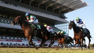 ザダルが競走馬登録抹消