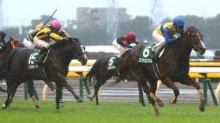 エアスピネルが競走馬登録抹消