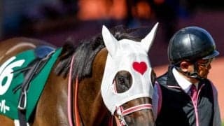 【京阪杯展望】時計が掛かり、差し追い込みが決まりやすいスプリント重賞