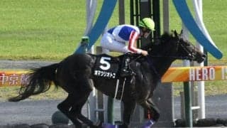 上がり最速連発のオマツリオトコか、2戦連続圧勝のトレドか/園田・兵庫ジュニアGP注目馬