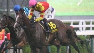 【京阪杯出走馬・騎手確定】トウシンマカオ＆鮫島克駿騎手、タイセイビジョン＆三浦皇成騎手など16頭